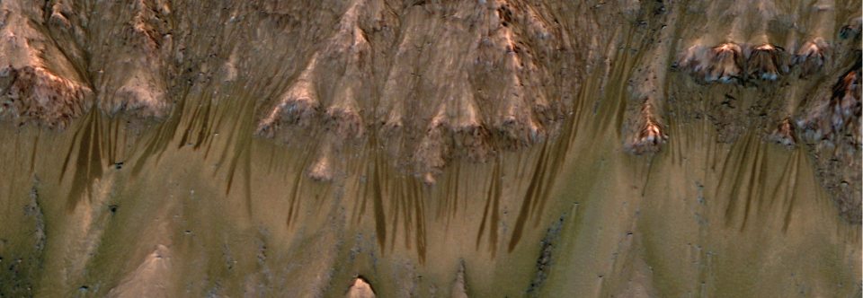 Top scientists debate whether life could survive on Mars