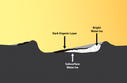 David Paige – Mercury Organics Brought By Comets