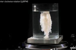 SPINLab Educational Film Project Ch.6 – Creamer Plume Experiment